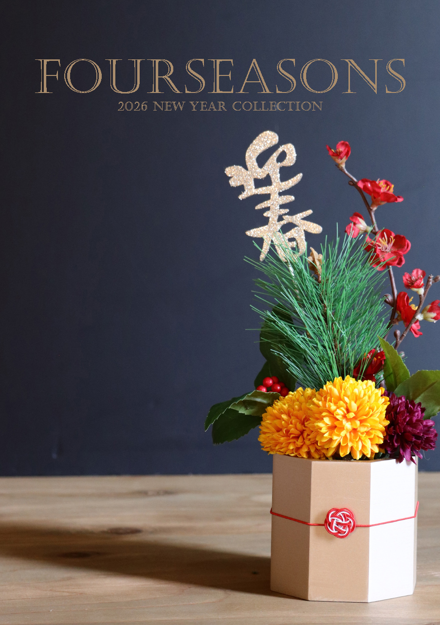 2026 NEW YEAR COLLECTION